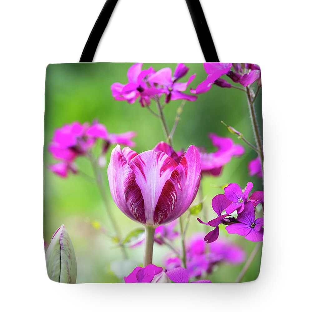 Tulip Tote Bag featuring the photograph Tulip Columbine by Tim Gainey