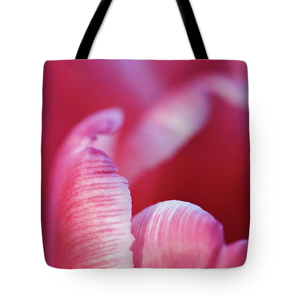 Pink Tote Bag featuring the photograph Tulip Detail by Maria Meester
