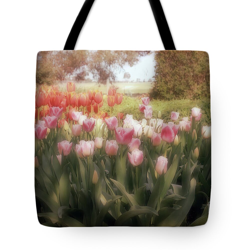 Flowers Tote Bag featuring the photograph Tulip Dreams by Elaine Teague