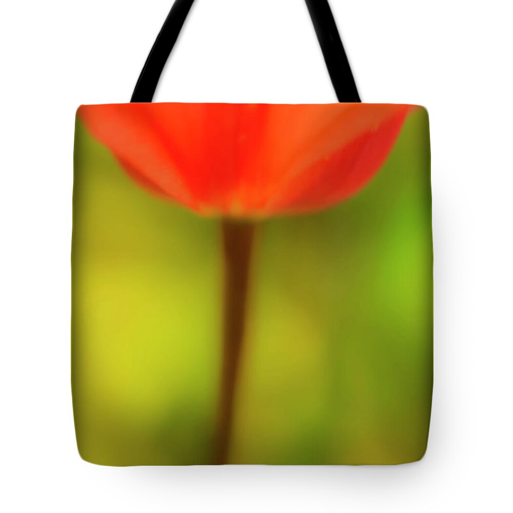 Tulip Tote Bag featuring the photograph Tulip by Kathy Paynter