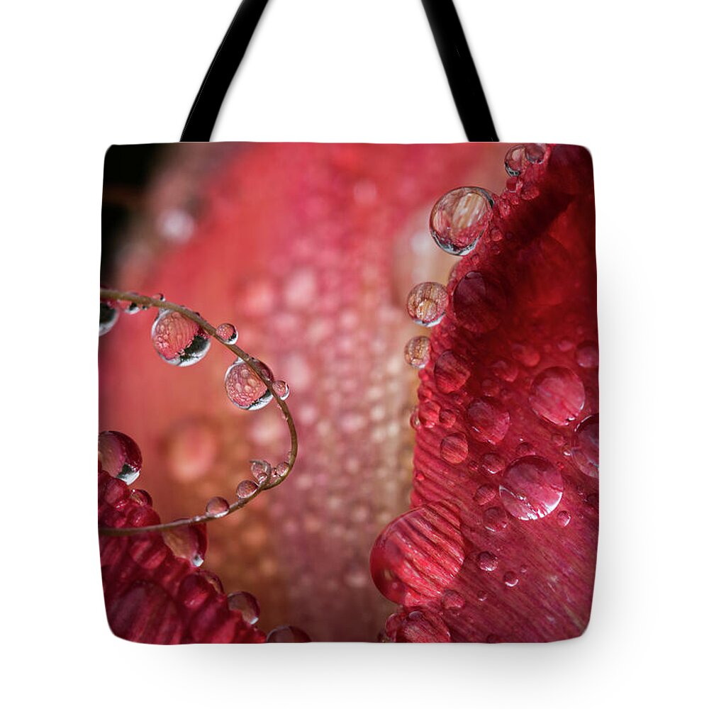 April Tote Bag featuring the photograph Tulip Petals in the Mist by Robert Potts