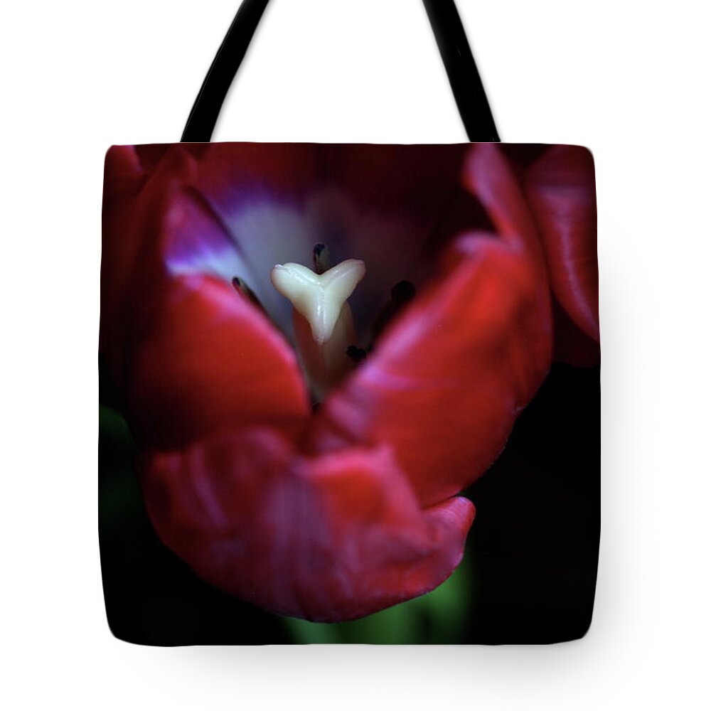 Macro Tote Bag featuring the photograph Tulip Pink 7082 by Julie Powell