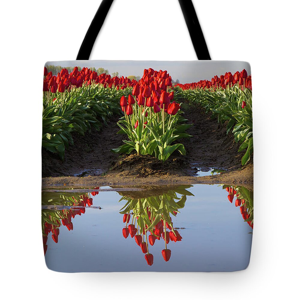 Tulips Tote Bag featuring the photograph Tulip Reflection by Michael Rauwolf