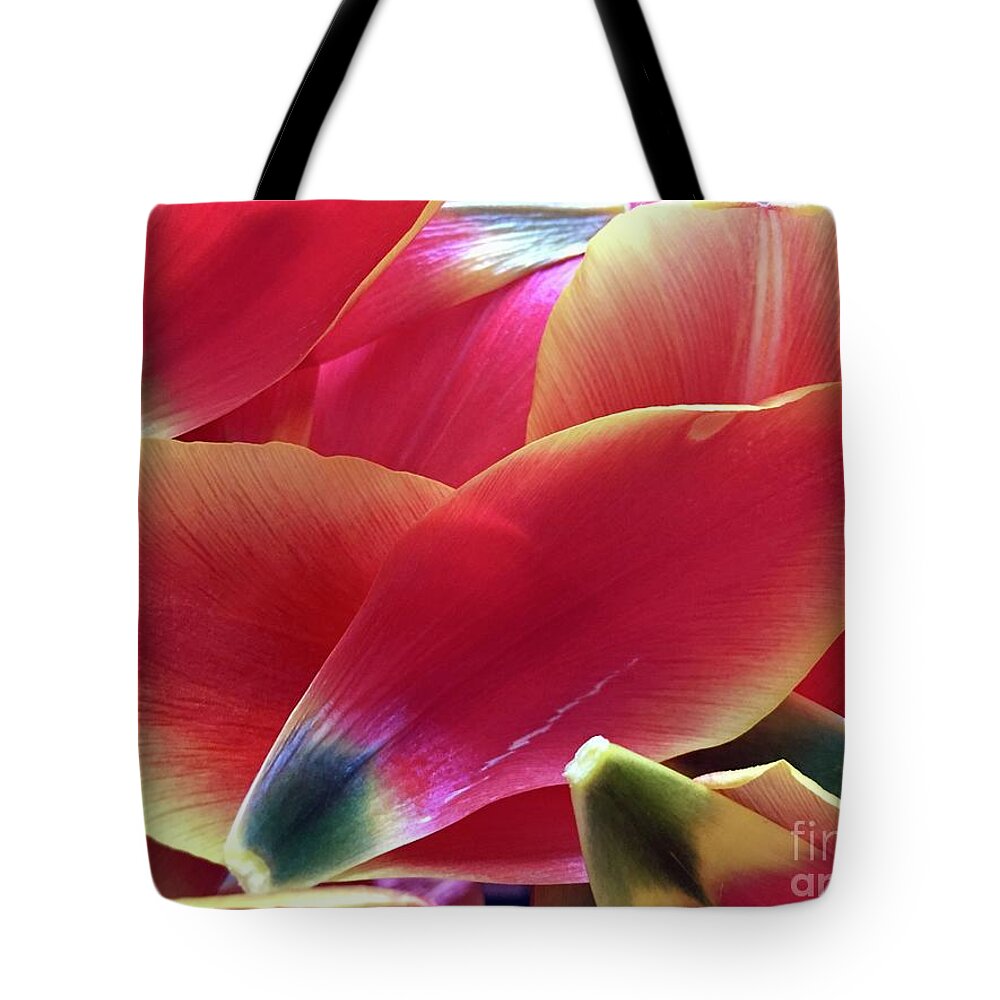 Composition Tote Bag featuring the photograph Tulip Series 1-2 by J Doyne Miller