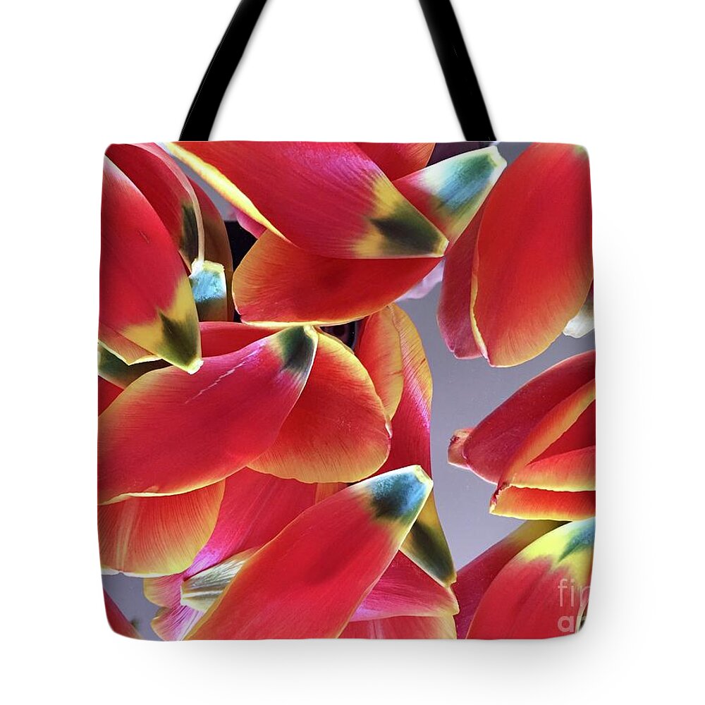 Composition Tote Bag featuring the photograph Tulip Series 1-3 by J Doyne Miller