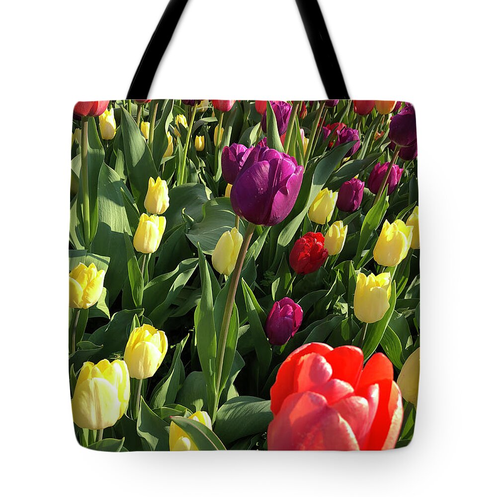 Tulips Tote Bag featuring the photograph Tulip Time by Rod Seel