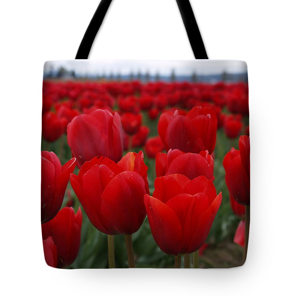Washington Tote Bag featuring the photograph Tulip View H by Tara Krauss