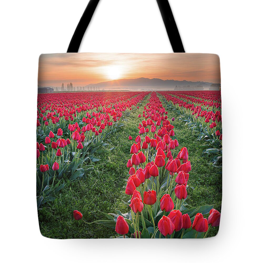 Tulips Tote Bag featuring the photograph Tulips at Sunrise by Michael Rauwolf