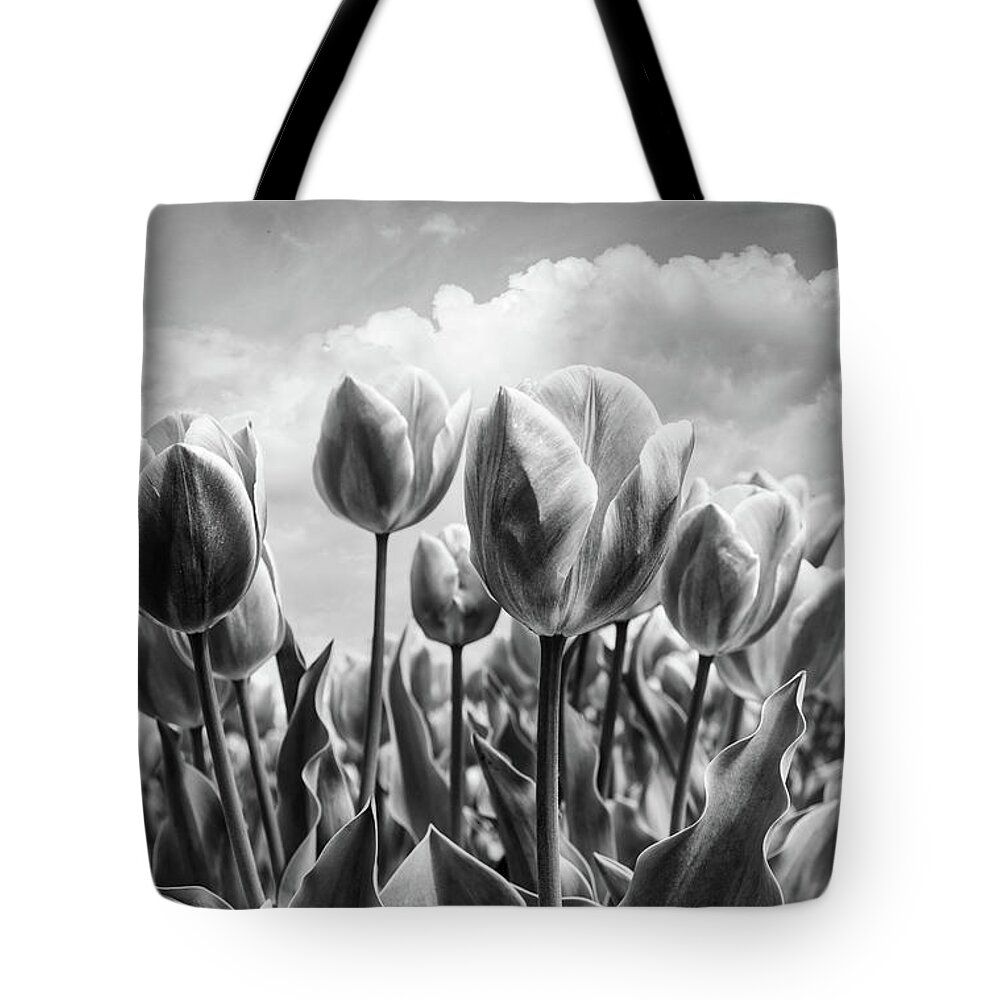 Clouds Tote Bag featuring the photograph Tulips Waving in the Wind Black and White by Debra and Dave Vanderlaan