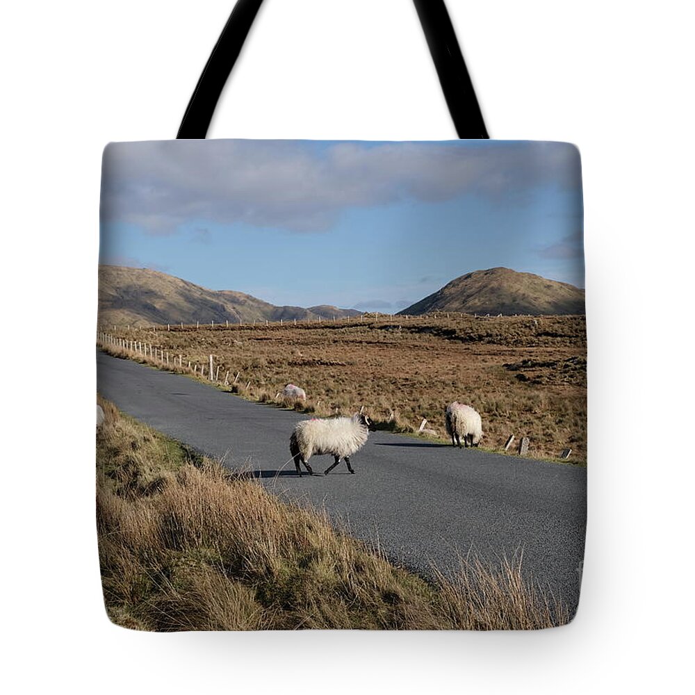 Connemara Ireland Galway Isolation Sheep Sky Roadside Mountains Photography Prints Landscape Tote Bag featuring the photograph Tully road Connemara by Peter Skelton
