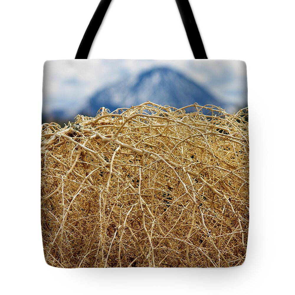 Abstract Tote Bag featuring the photograph Tumbleweed by Jonathan Thompson