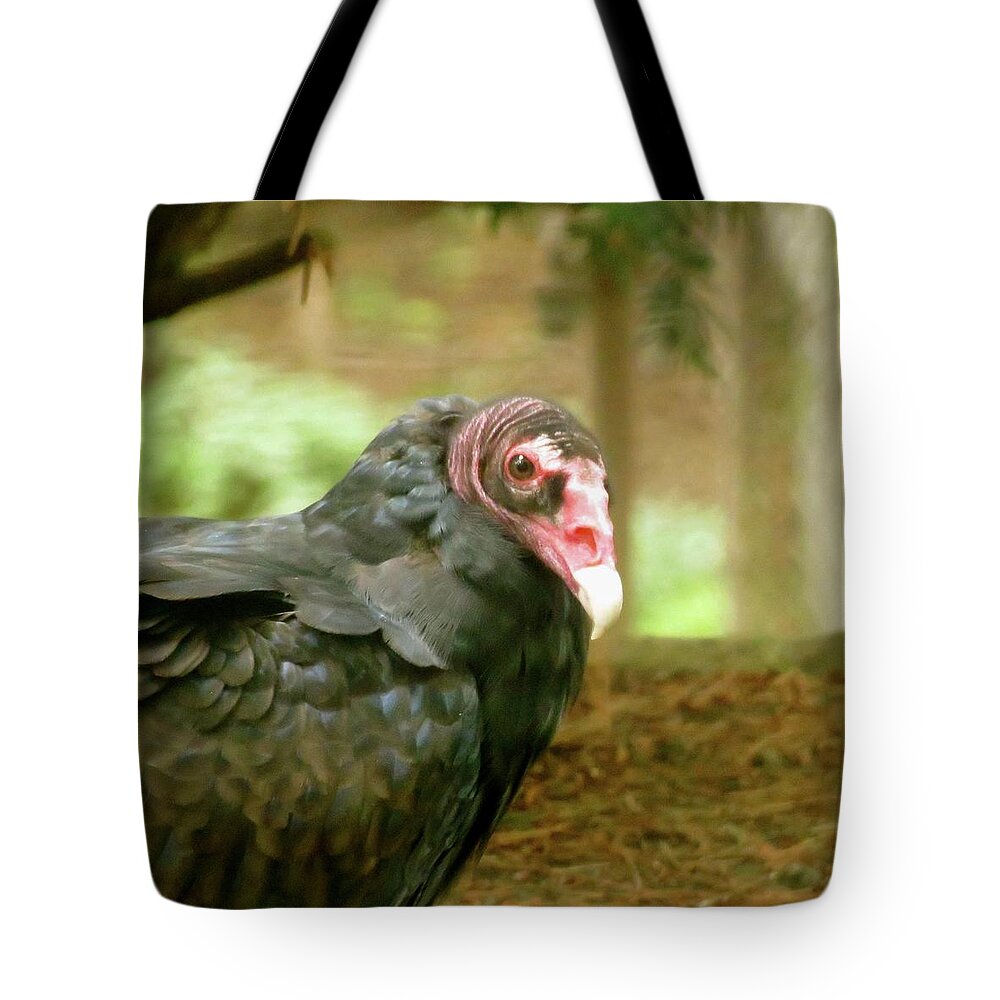 Bird Tote Bag featuring the photograph Turkey Vulture by Azthet Photography