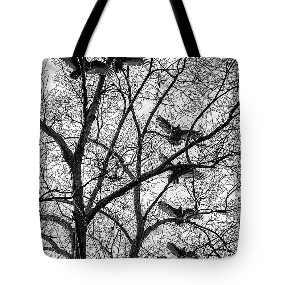 Birds Tote Bag featuring the photograph Turkey Vultures Photography by Louis Dallara