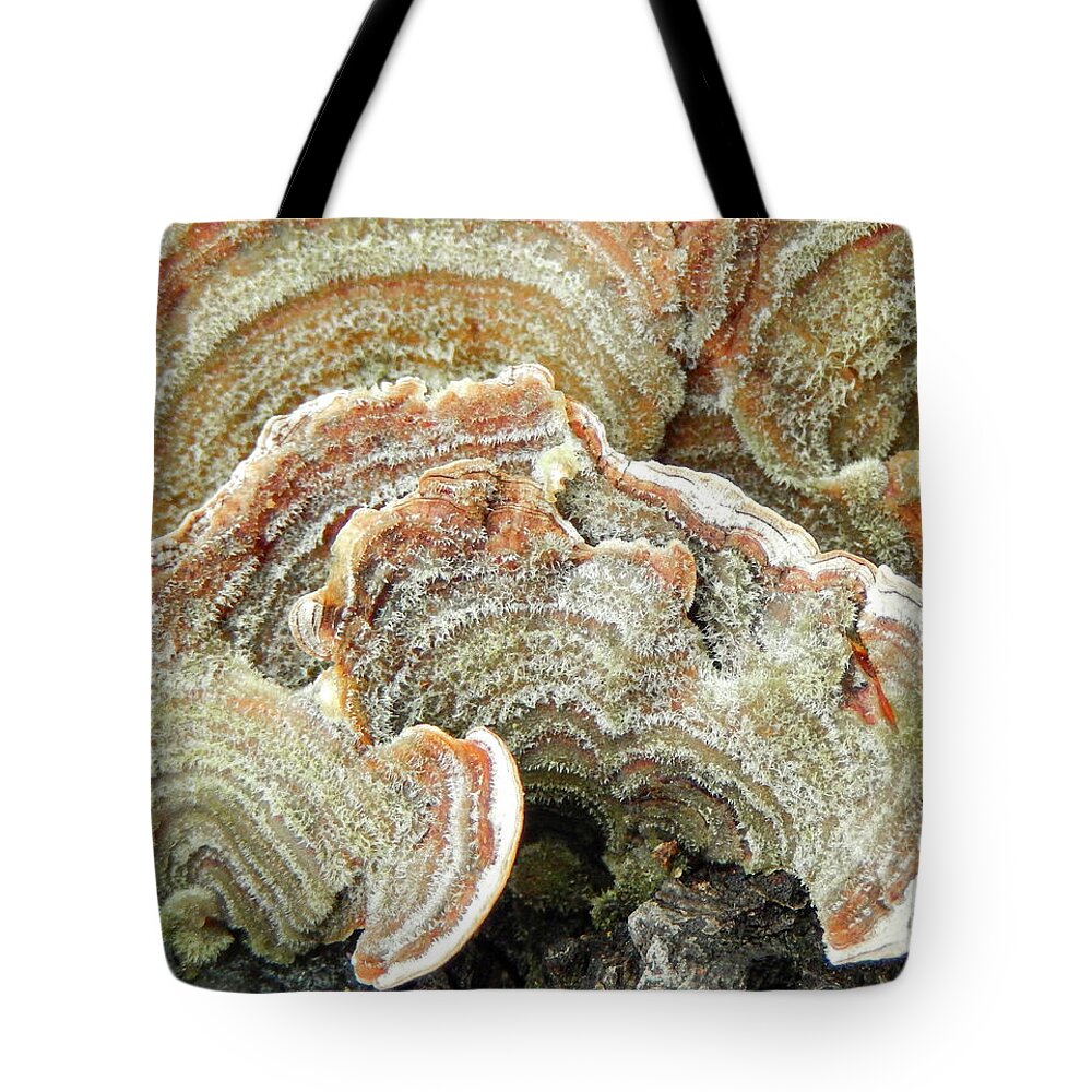 Abstract Tote Bag featuring the photograph Turkeytail Fungus Abstract by Karen Rispin