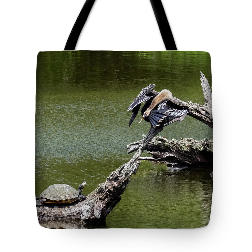Turtle Tote Bag featuring the photograph Turtle And Anhinga by J M Farris Photography
