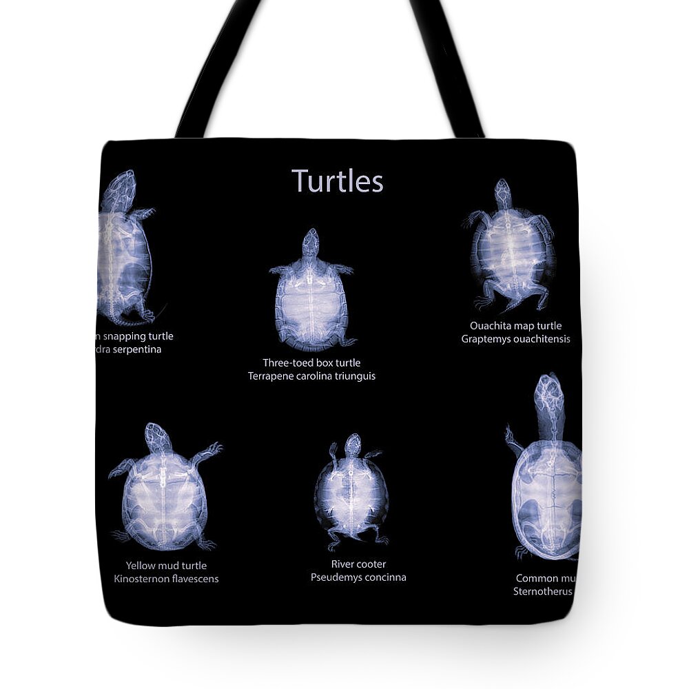 Reptile Tote Bag featuring the photograph Turtles -01 by Rob Graham