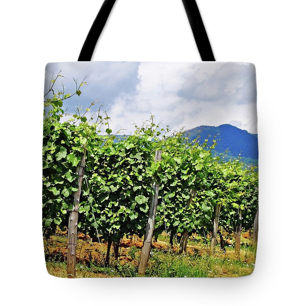 Tuscany Tote Bag featuring the photograph Tuscan Vineyard by Debbie Oppermann