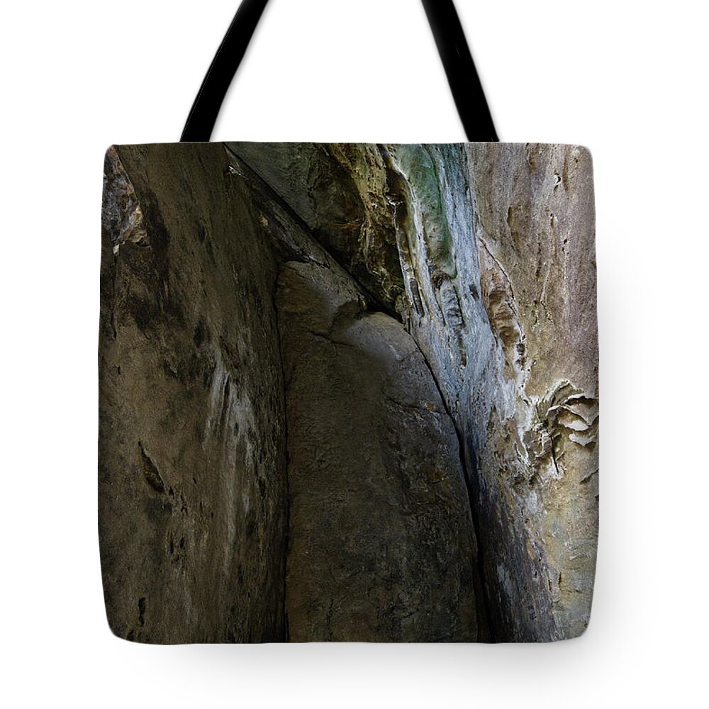 Nature Tote Bag featuring the photograph Twin Arches 10 by Phil Perkins