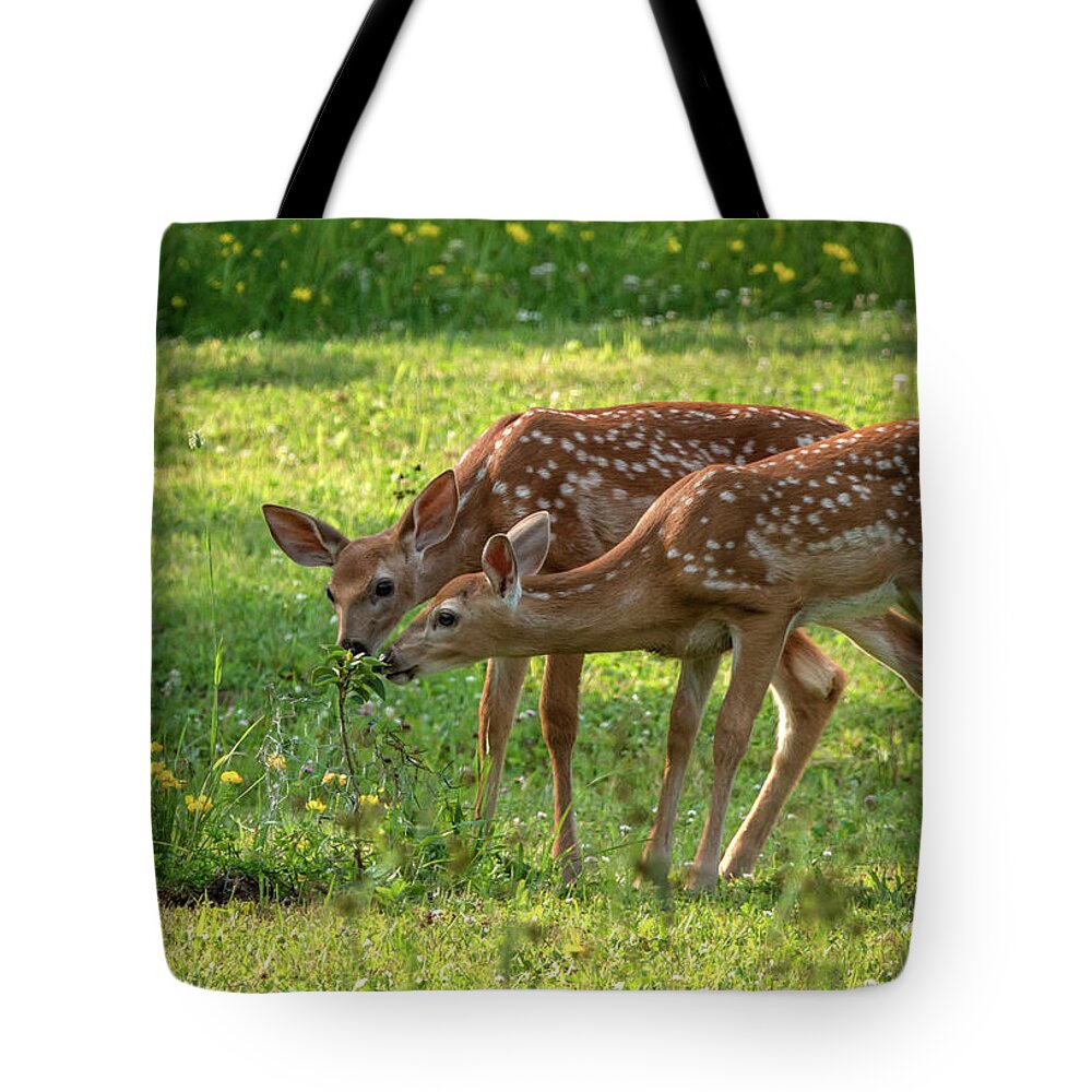 Twin Fawns Tote Bag featuring the photograph Twin Fawns Baby Deer by Sandra J's