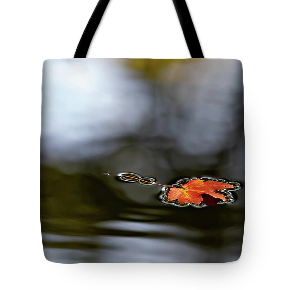 Autumn Tote Bag featuring the photograph Twin Lakes Red by Kevin Suttlehan