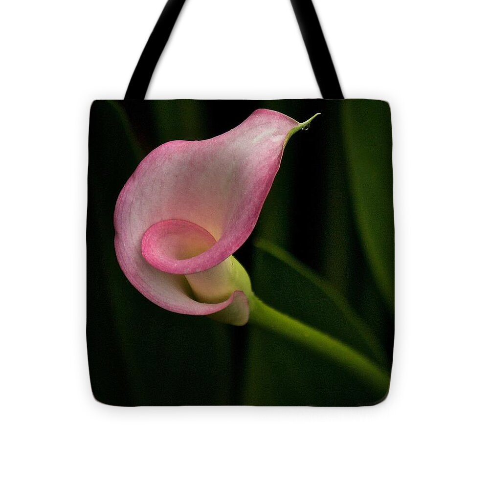 Calla Lily Tote Bag featuring the photograph Twist and Shout by Richard Cummings