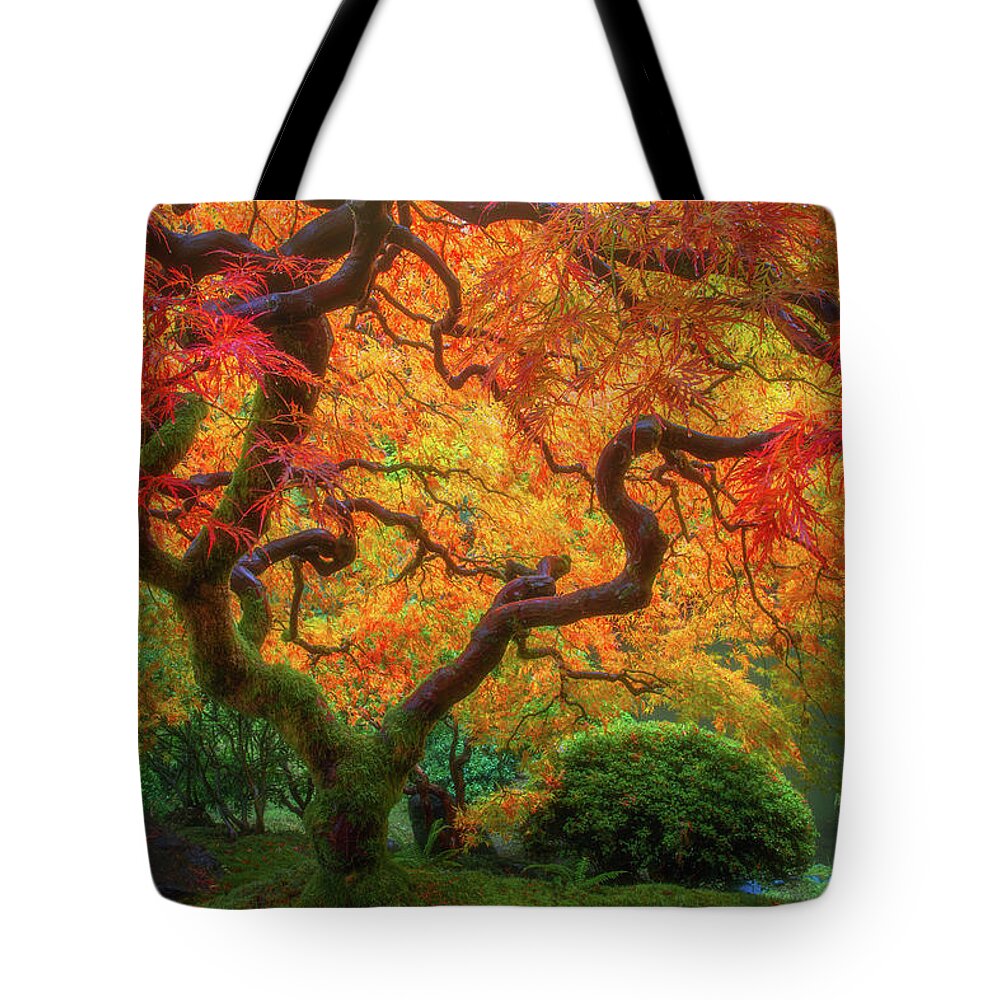 Fall Colors Tote Bag featuring the photograph Twisted Autumn by Darren White