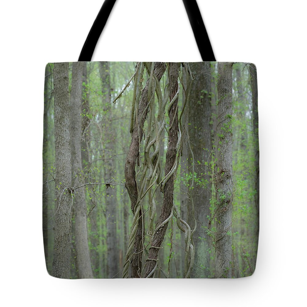 Vine Tote Bag featuring the photograph Twisted, Tangled, Trapped by Liz Albro