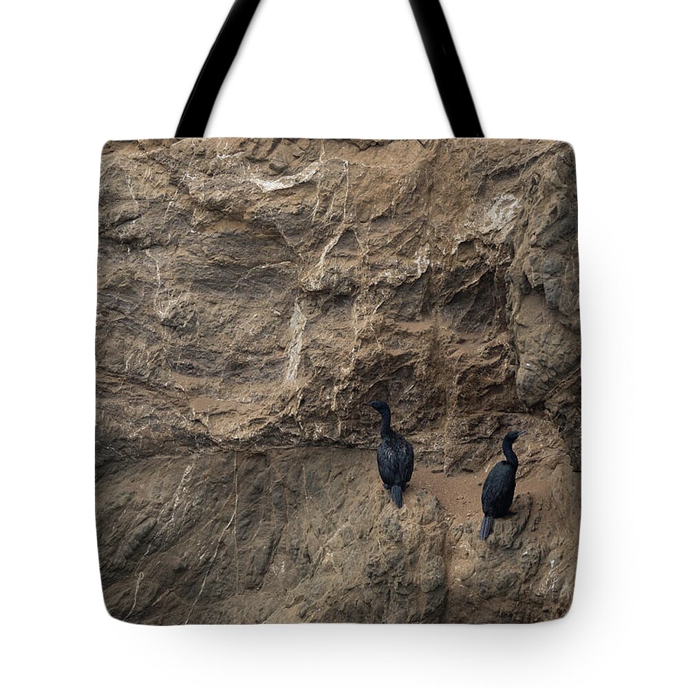 Animal Tote Bag featuring the photograph Two cormorants on cliff face by Mike Fusaro