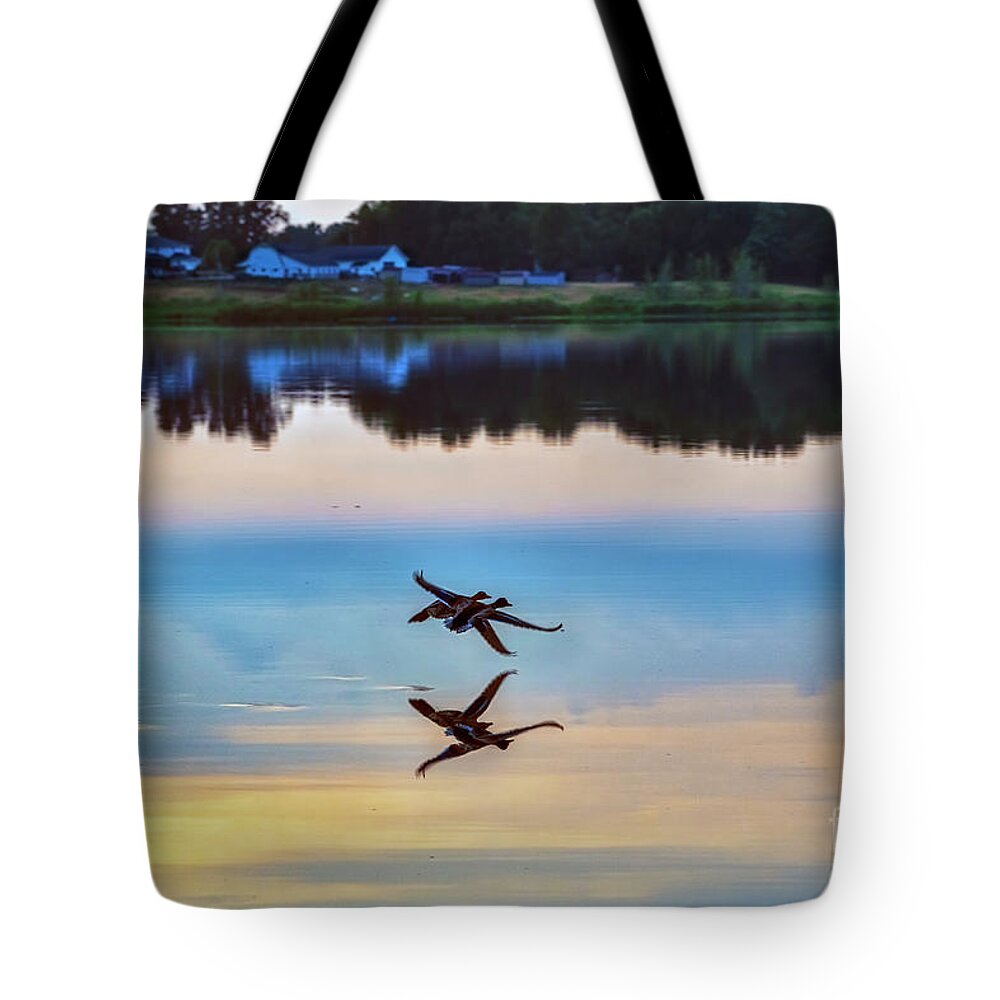 Mallard Tote Bag featuring the photograph Two Ducks at Sunset Close to Surface by David Arment