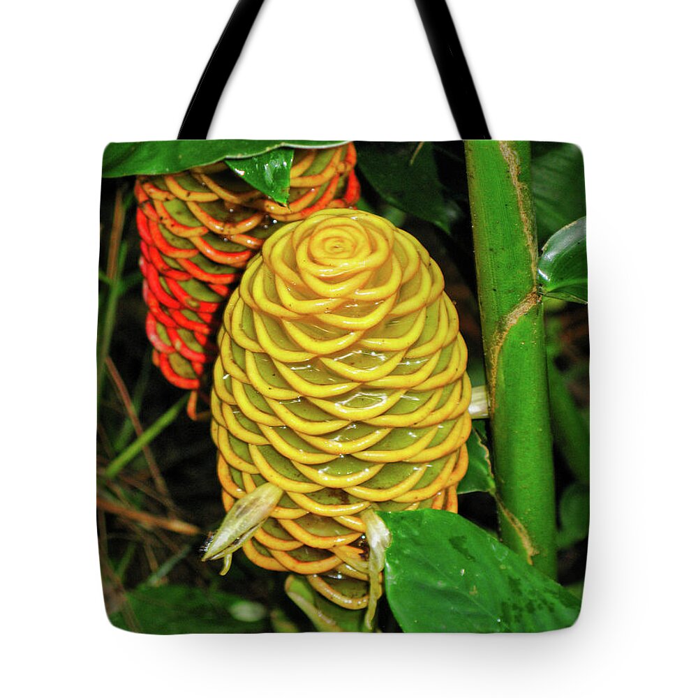 Flora Tote Bag featuring the photograph Two exotic flowers by Segura Shaw Photography