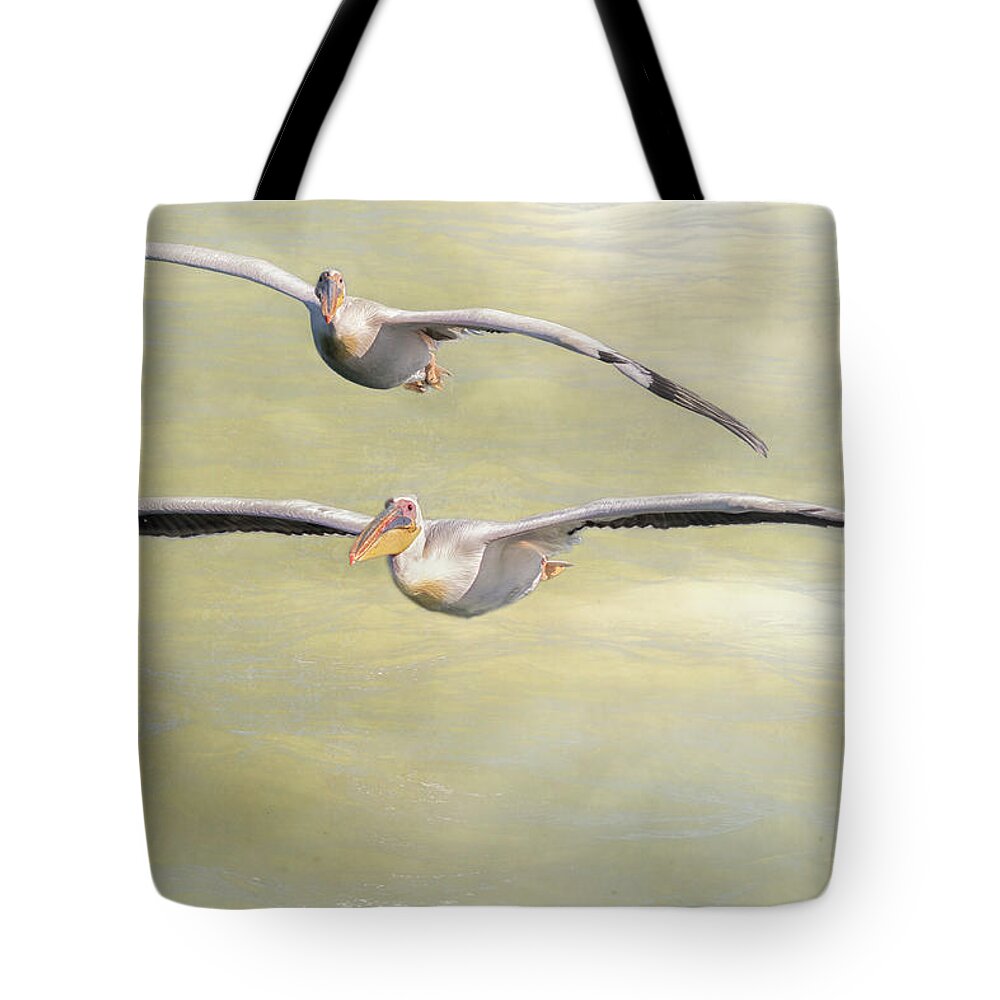 Great White Pelican Tote Bag featuring the photograph Two Great White Pelican Flying with texture by Belinda Greb
