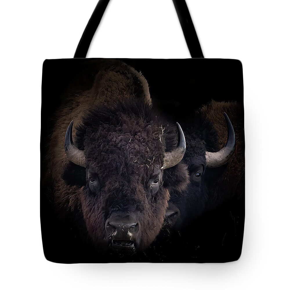 Bison Tote Bag featuring the photograph Two Old Bulls by Laura Terriere