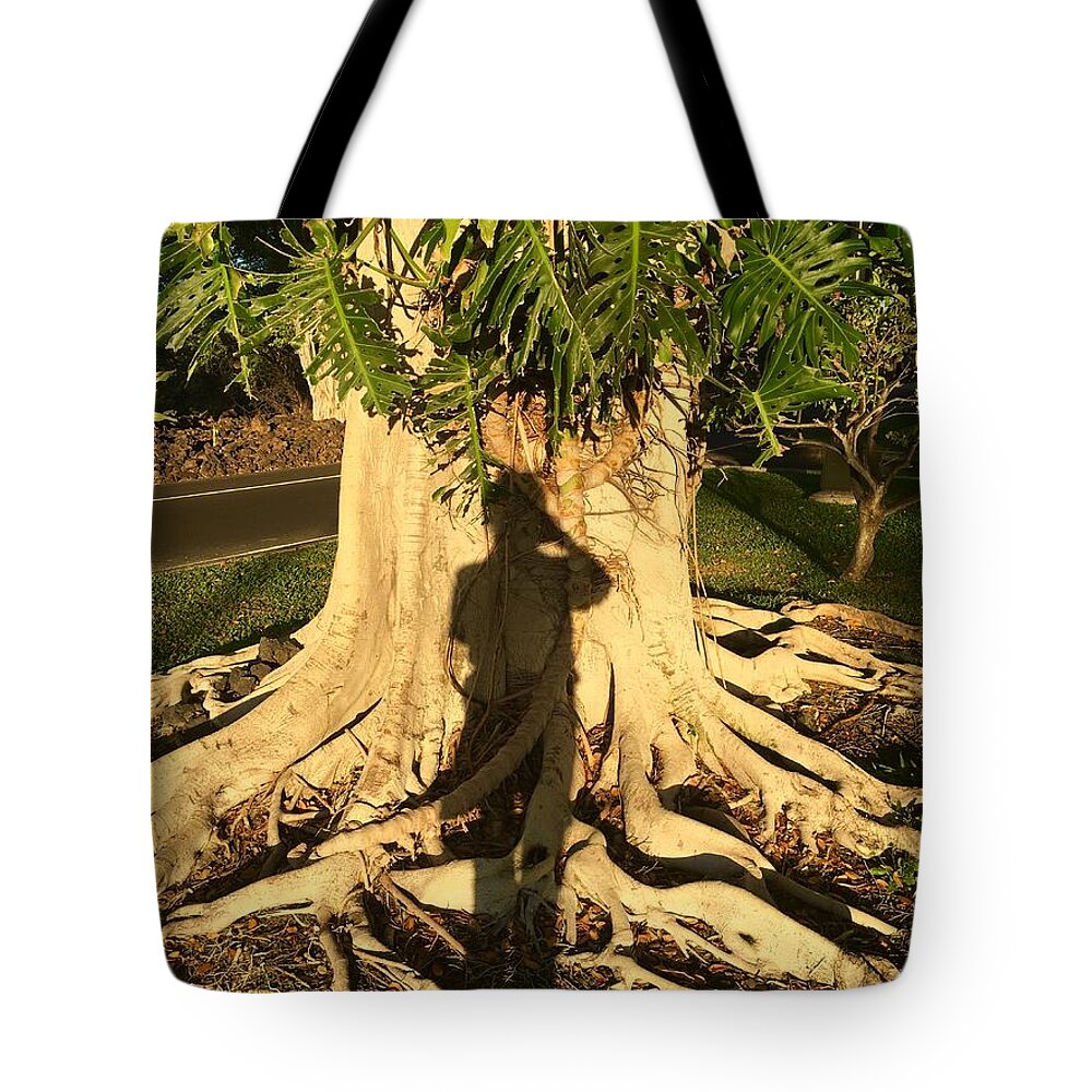 Tree Tote Bag featuring the photograph Two Old Souls Merge by Bette Phelan