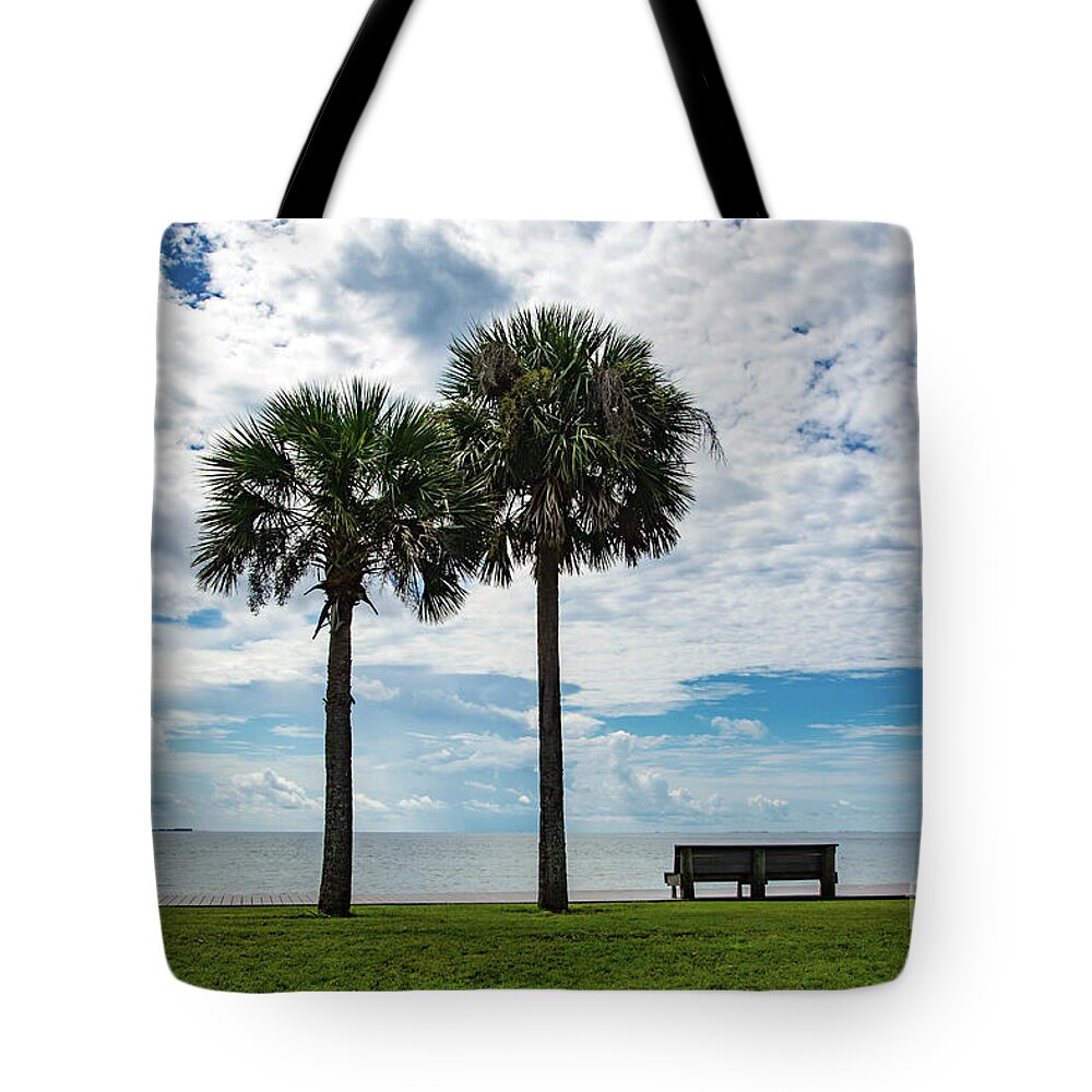 Two Tote Bag featuring the photograph Two Palms on Pensacola Bay by Beachtown Views