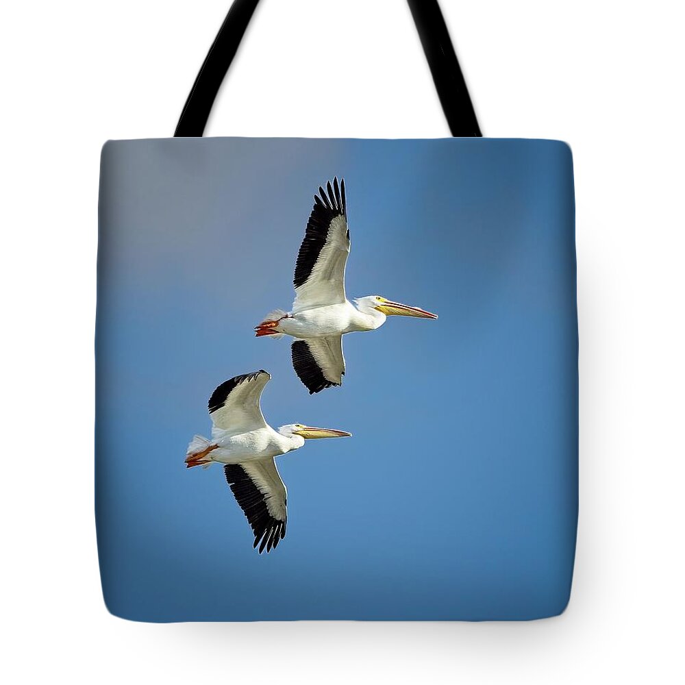 American White Pelican Tote Bag featuring the photograph Two Soaring Overhead by Ronald Lutz