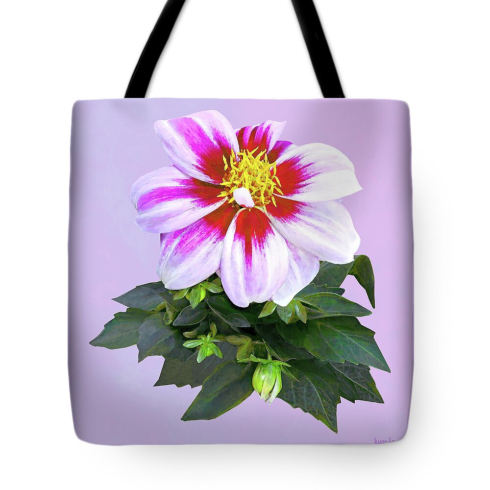 Dahlia Tote Bag featuring the photograph Two-Toned Pink Dahlia by Susan Savad