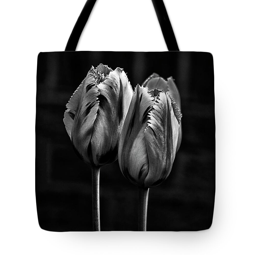 Two Duo Couple Tulips Black White Flowers Stylish Beautiful Delightful Pretty Gorgeous Characters Expressive Close Up Romantic Poetic Creative Minimalist Minimalism Simple Impressions Attractive Charming Inspiration Eccentric Singular Fabulous Fantastic Delicate Gentle Bold Mono Contemporary Impressive Stunning Elegant Tender Touching Passion Expressionistic Interpretative Evocative Romance Simplicity Togetherness Together Associative Spiritual Happy Aesthetic Idyllic Meaningful Sentimental Tote Bag featuring the photograph togetherness - DUO TULIPS, STRONG CONTRAST EFFECTIVE BLACK AND WHITE FLOWERS by Tatiana Bogracheva