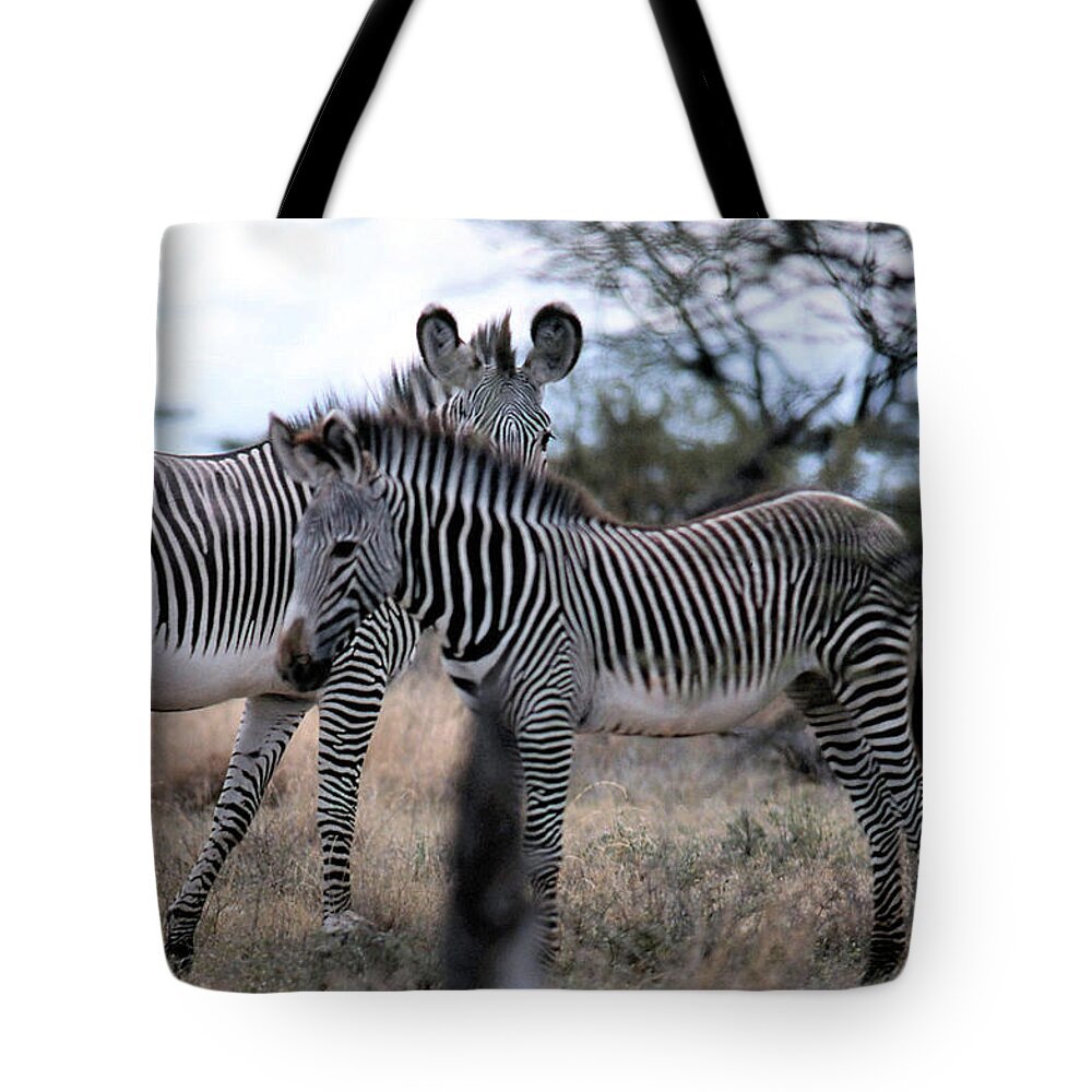 Zebra Tote Bag featuring the photograph Two Zebras by Russ Considine