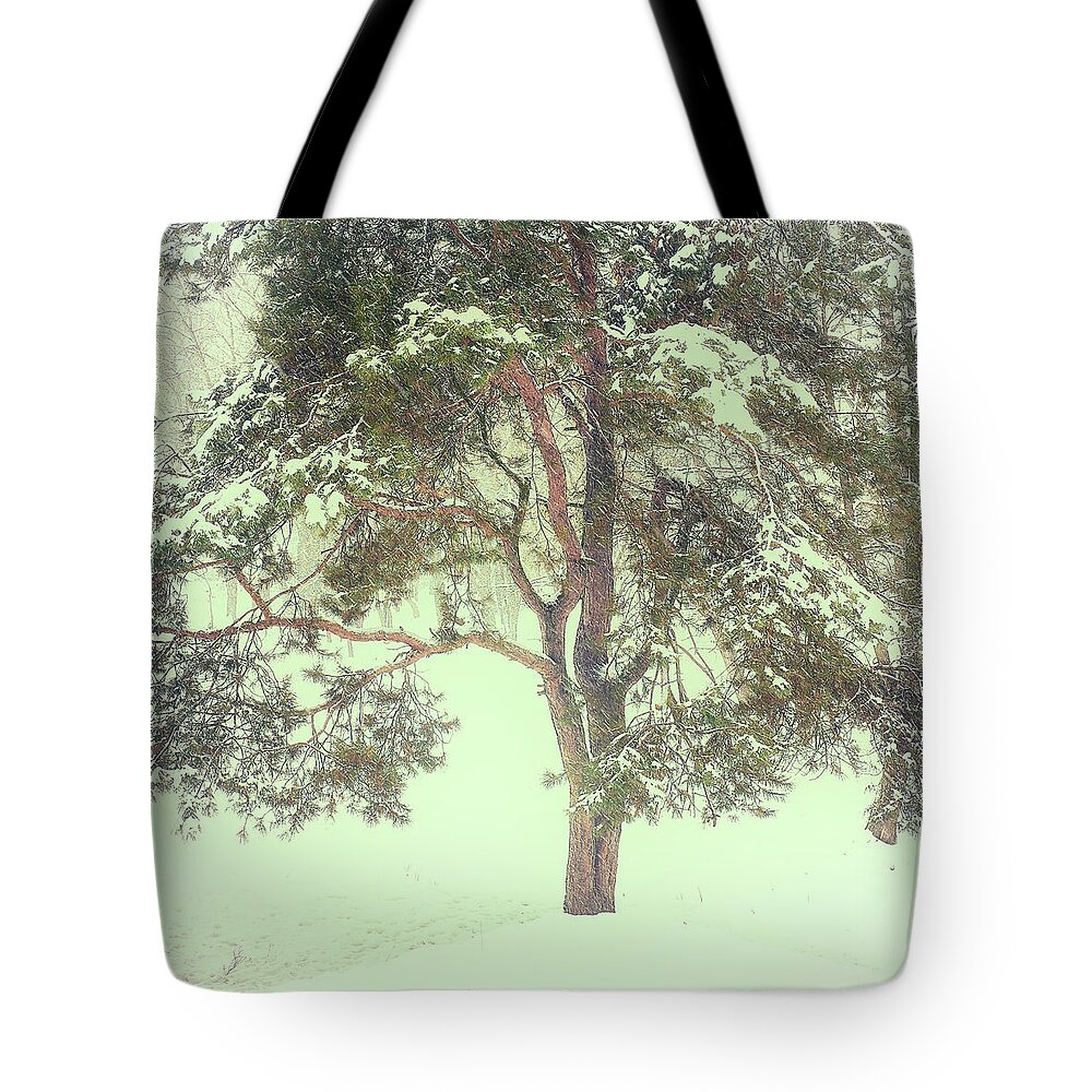Snow Tote Bag featuring the photograph Under Snowstorm by Andrii Maykovskyi