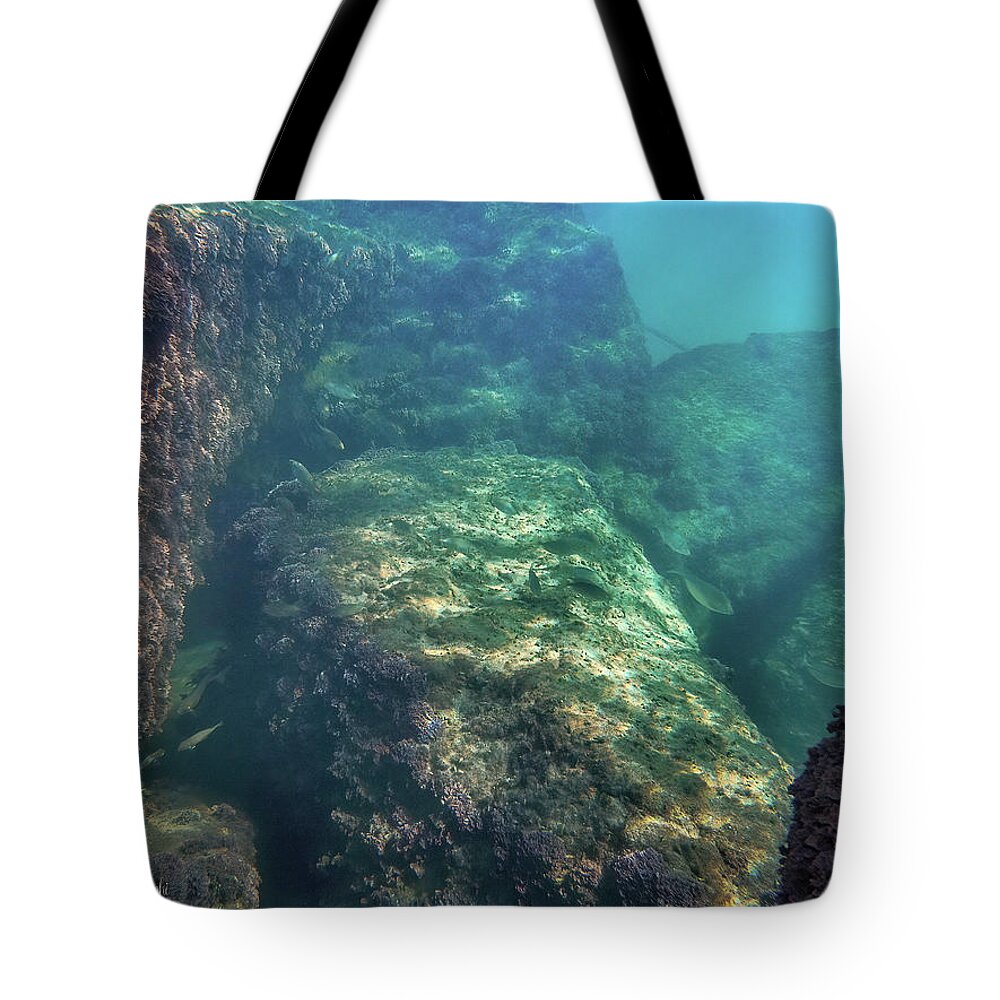 Fish Tote Bag featuring the photograph Under the pier by Meir Ezrachi