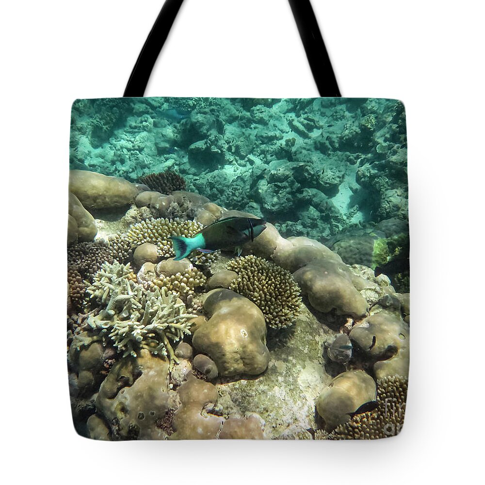 Great Barrier Reef Tote Bag featuring the photograph Underwater Colors by Bob Phillips