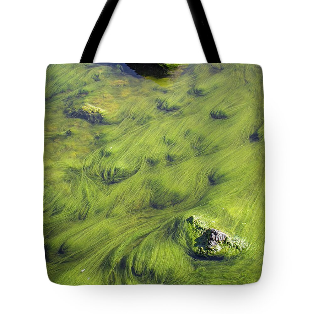 Grass Tote Bag featuring the photograph Underwater Grass by Canadart -