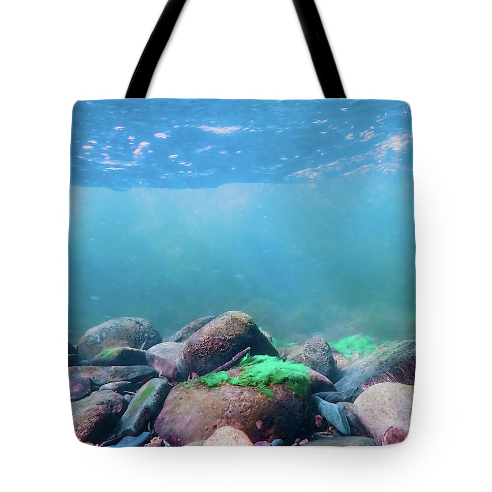 Sea Tote Bag featuring the photograph Underwater Scene - Upper Delaware River 6 by Amelia Pearn