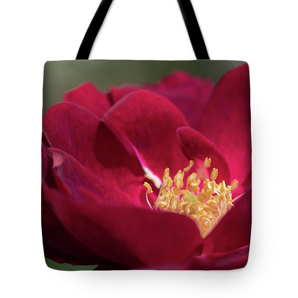 Macro Tote Bag featuring the photograph Unfurled by Laura Macky