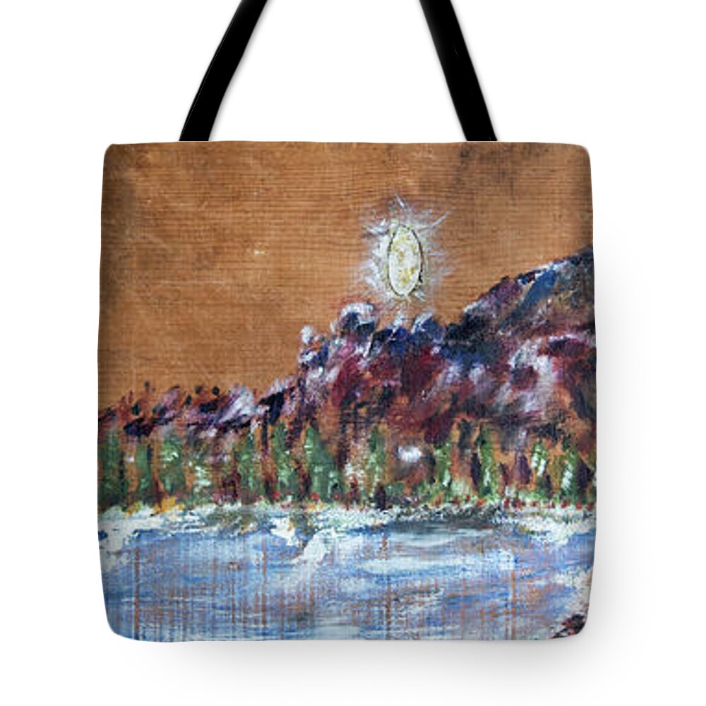  Tote Bag featuring the painting Unidentified Light in the Night Sky by David McCready