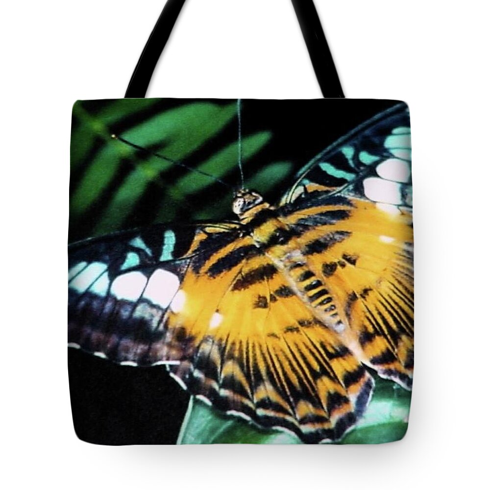 Butterfly Tote Bag featuring the photograph Unkown Species by Pour Your heART Out Artworks