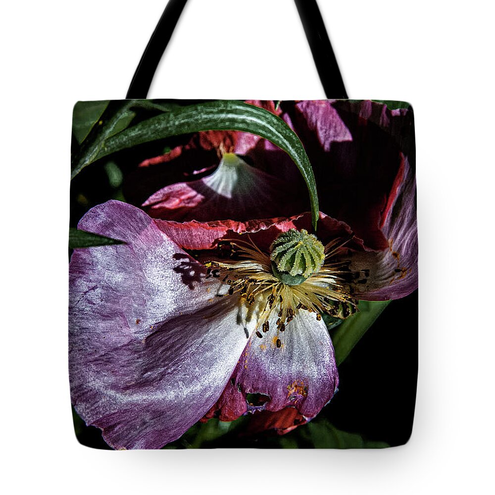 Colors Tote Bag featuring the photograph Untitled_148ab by Paul Vitko