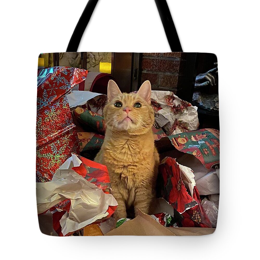 Cat Tote Bag featuring the photograph Unwrapped by Catherine Howley