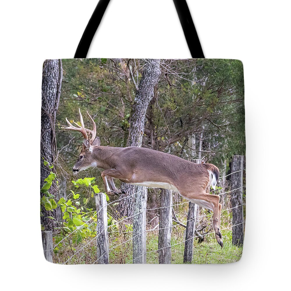  Tote Bag featuring the photograph Up and Over by Jim Miller