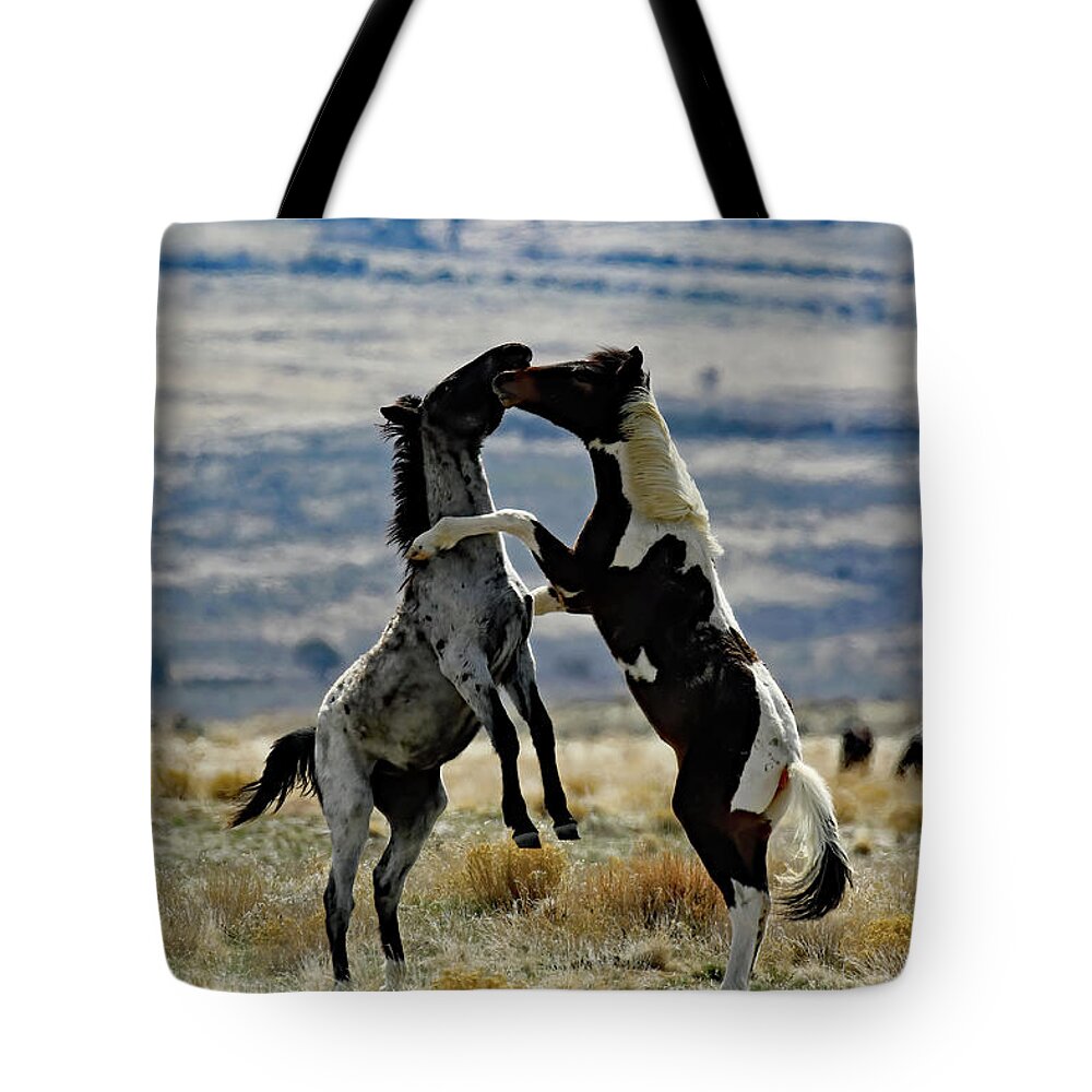 Utah Tote Bag featuring the photograph Up In Arms, Onaqui Wild Horse by Jennifer Robin